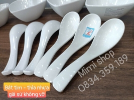 Thìa nhựa, muỗng nhựa phíp decor mâm cúng, bàn tiệc