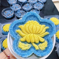 Khuôn ấn xôi- khuôn hoa mai 5 cánh 16cm - Hoa Cúc đại